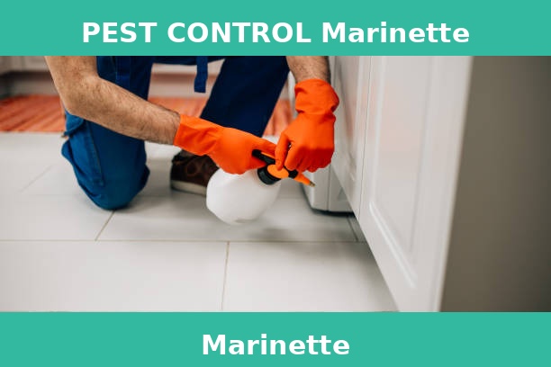 PEST CONTROL Marinette